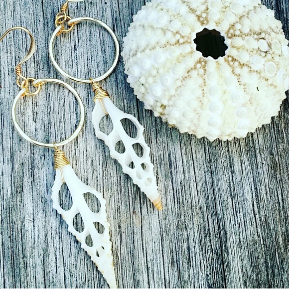 ocean drift jewelry hawaii Jewelry - GP sliced shell earrings